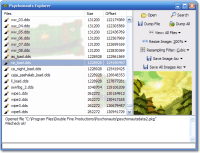 Psychonauts Explorer
